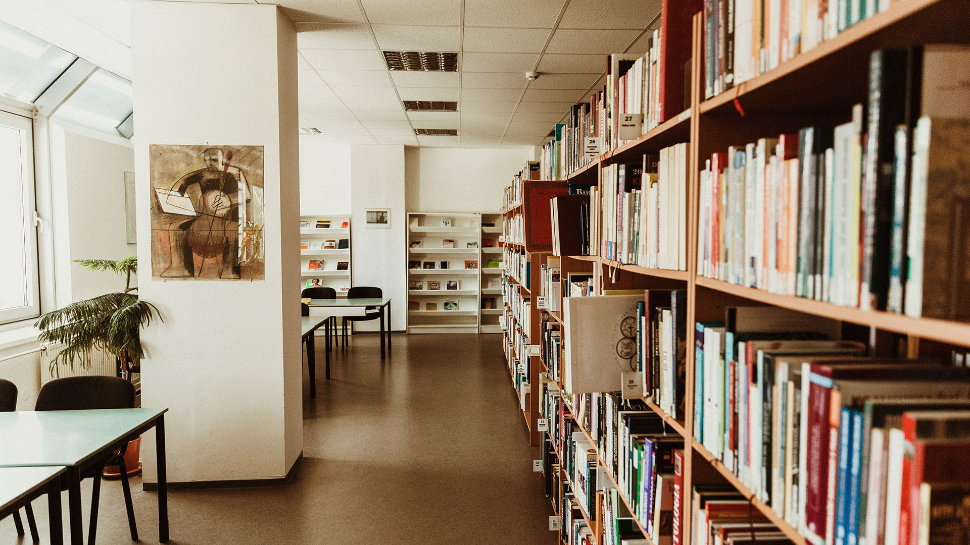 Library